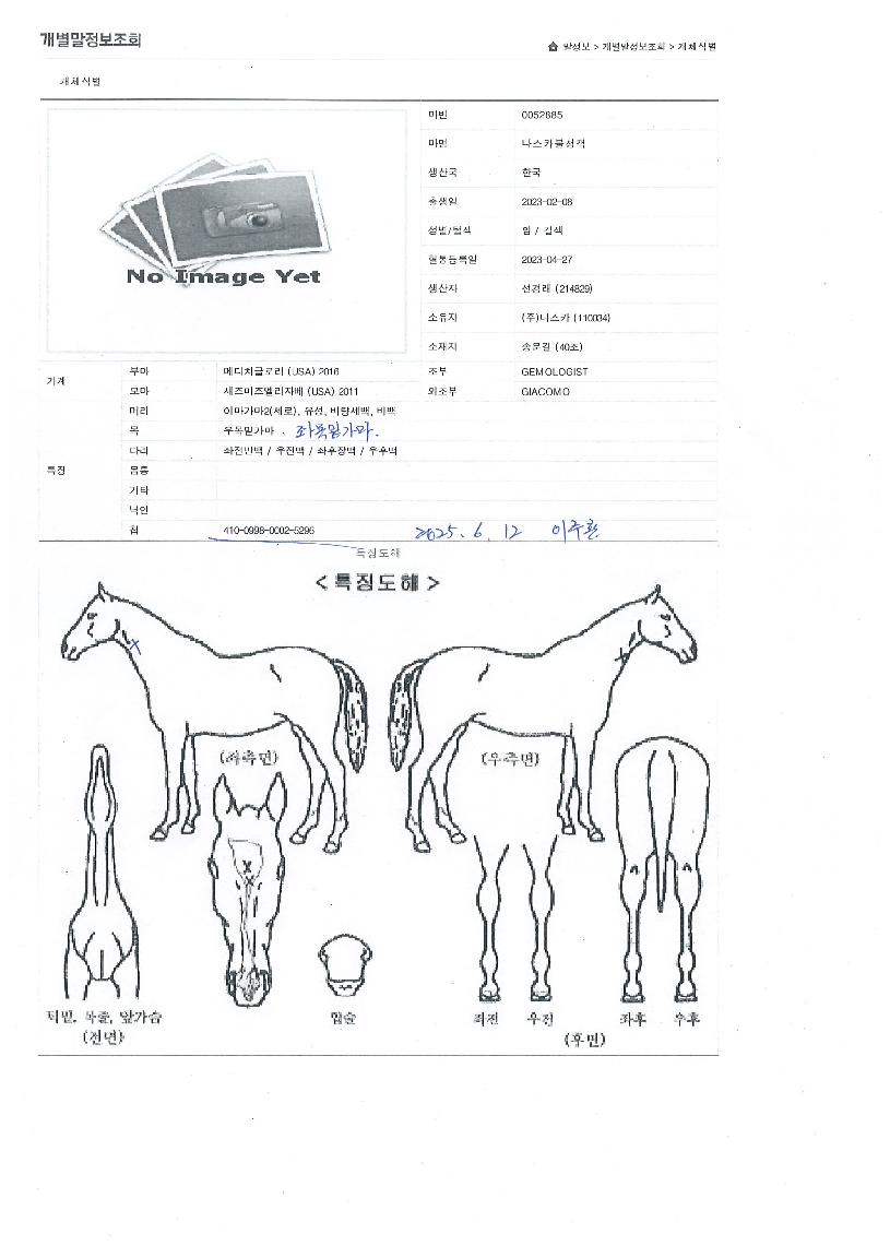 ³ª½ºÄ«ºÒû°´ÀÇ Ãø¸é,¿ì¸é,µÞ¸é,µÎ»ó,´Ù¸®ÀÇ Æ¯Â¡µµÇØ