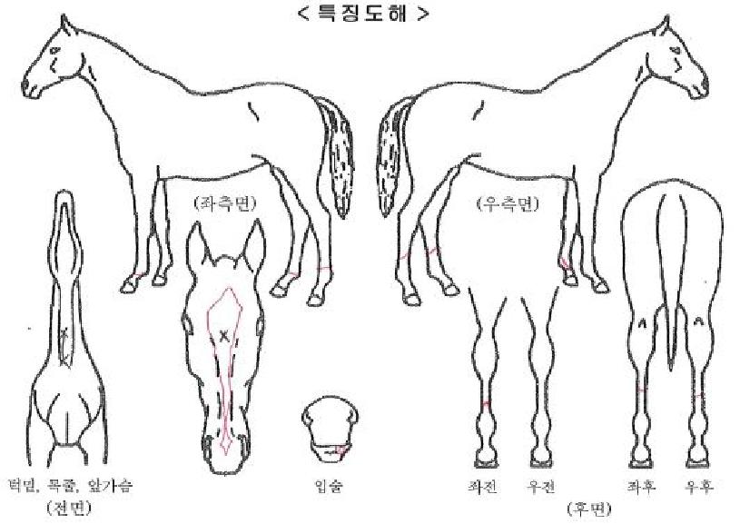 ��Ÿ��ƽ���� ����,���,�޸�,�λ�,�ٸ��� Ư¡����