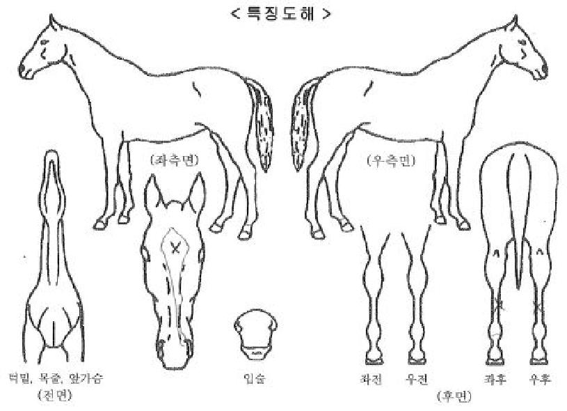 ������Ÿ�ڸ��� ����,���,�޸�,�λ�,�ٸ��� Ư¡����