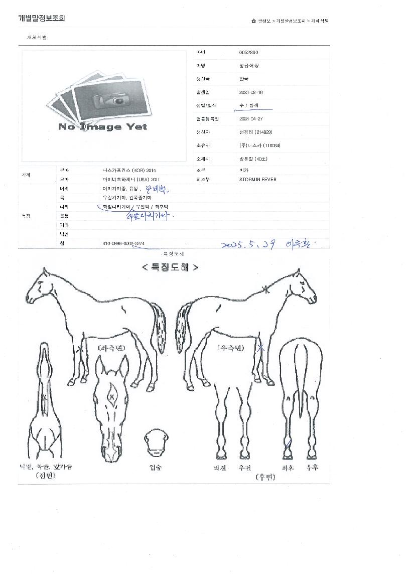 Ȳ±Ý¾îÀåÀÇ Ãø¸é,¿ì¸é,µÞ¸é,µÎ»ó,´Ù¸®ÀÇ Æ¯Â¡µµÇØ