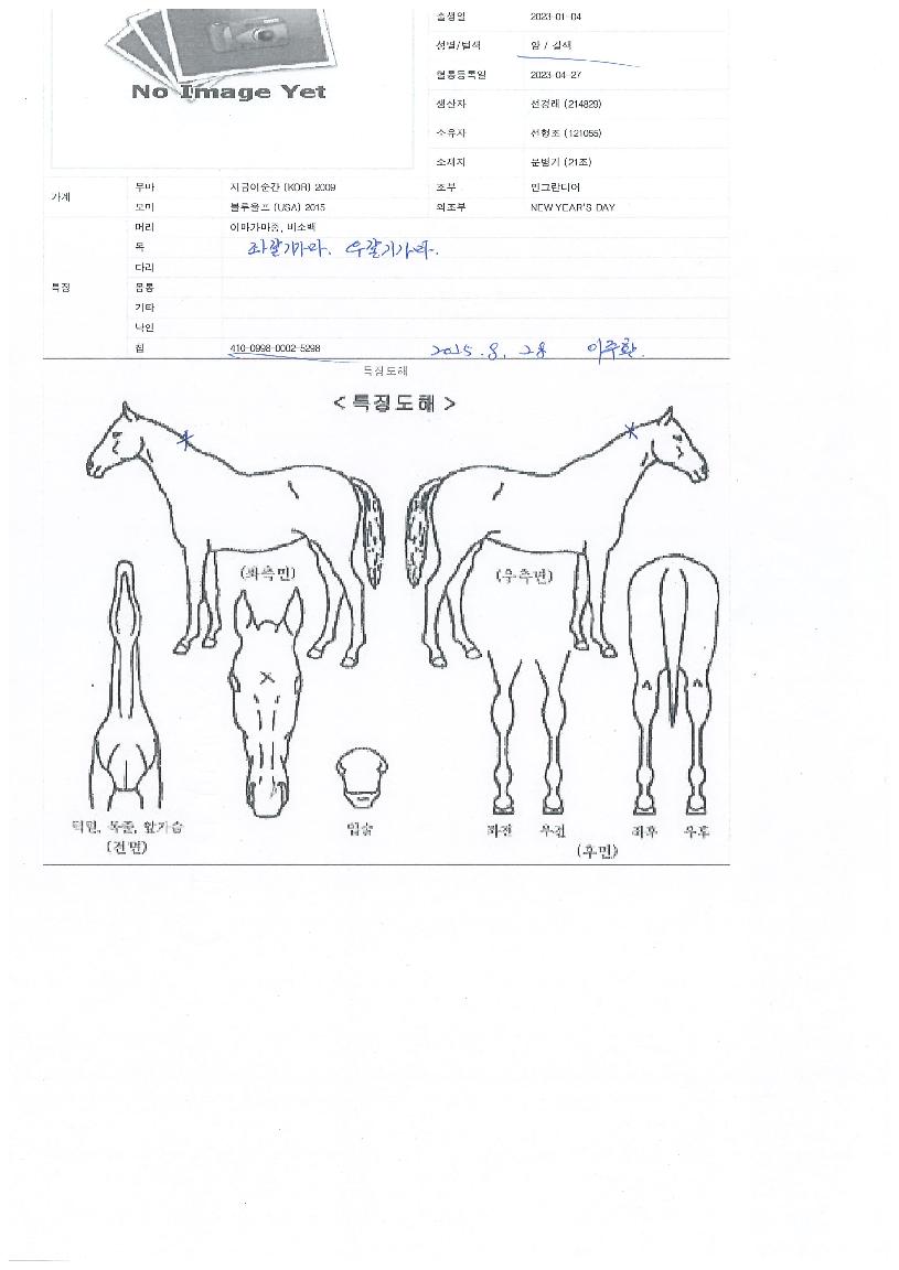 ¿Â¸®À¯ÀÇ Ãø¸é,¿ì¸é,µÞ¸é,µÎ»ó,´Ù¸®ÀÇ Æ¯Â¡µµÇØ