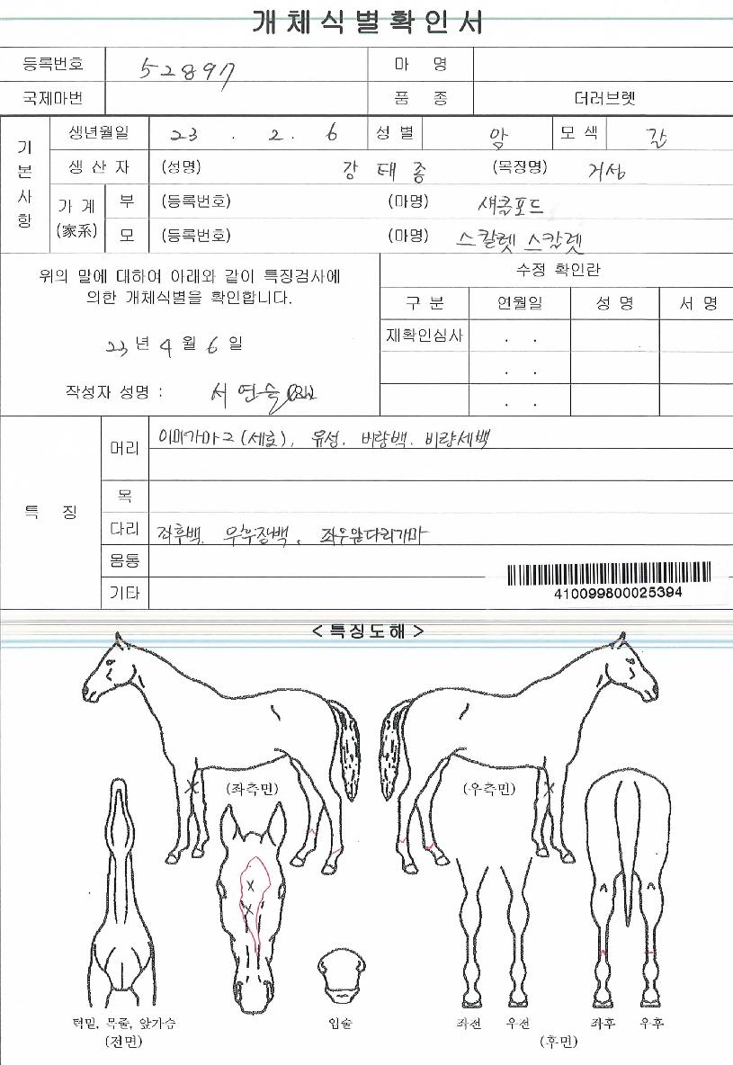 ¹Ùº§Æú°í·¹ÀÇ Ãø¸é,¿ì¸é,µÞ¸é,µÎ»ó,´Ù¸®ÀÇ Æ¯Â¡µµÇØ