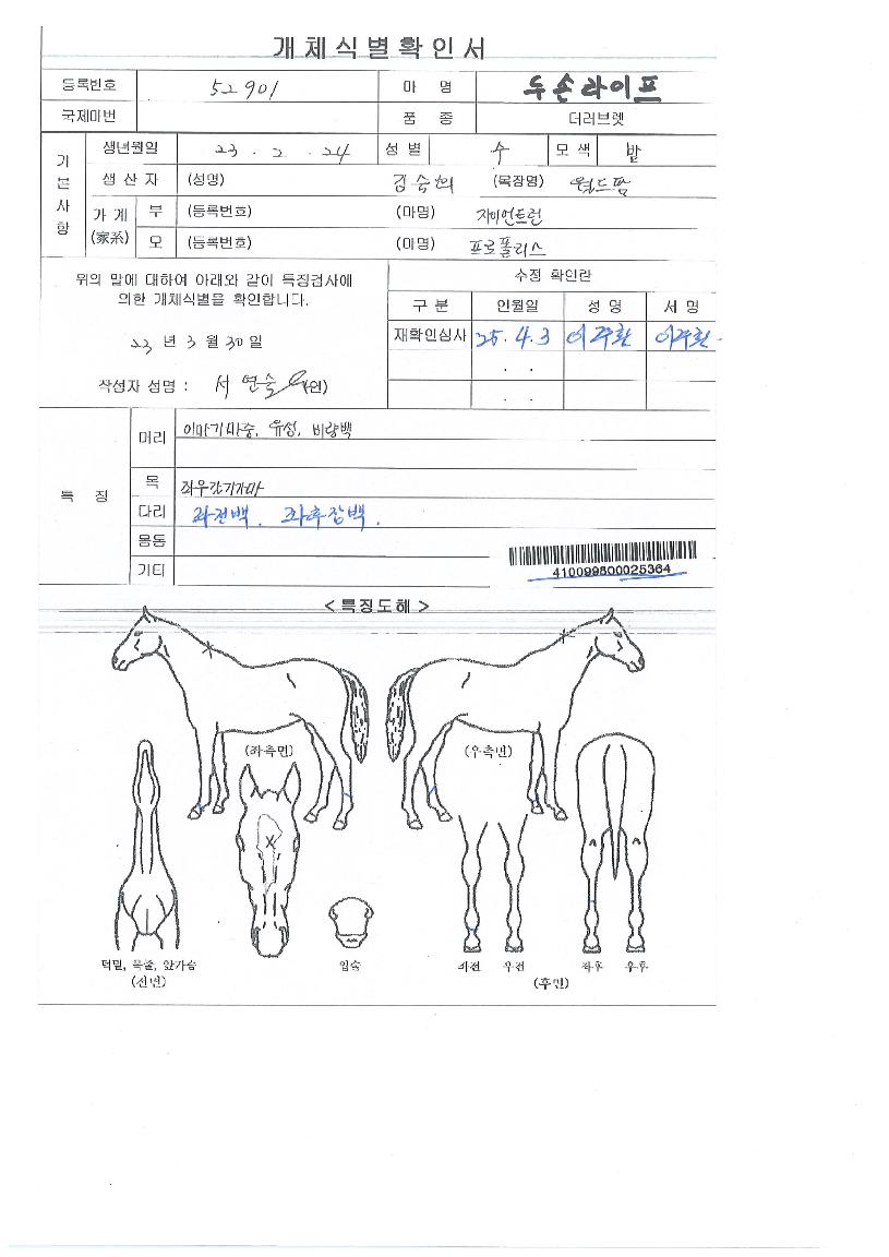 µÎ¼Õ¶óÀÌÇÁÀÇ Ãø¸é,¿ì¸é,µÞ¸é,µÎ»ó,´Ù¸®ÀÇ Æ¯Â¡µµÇØ