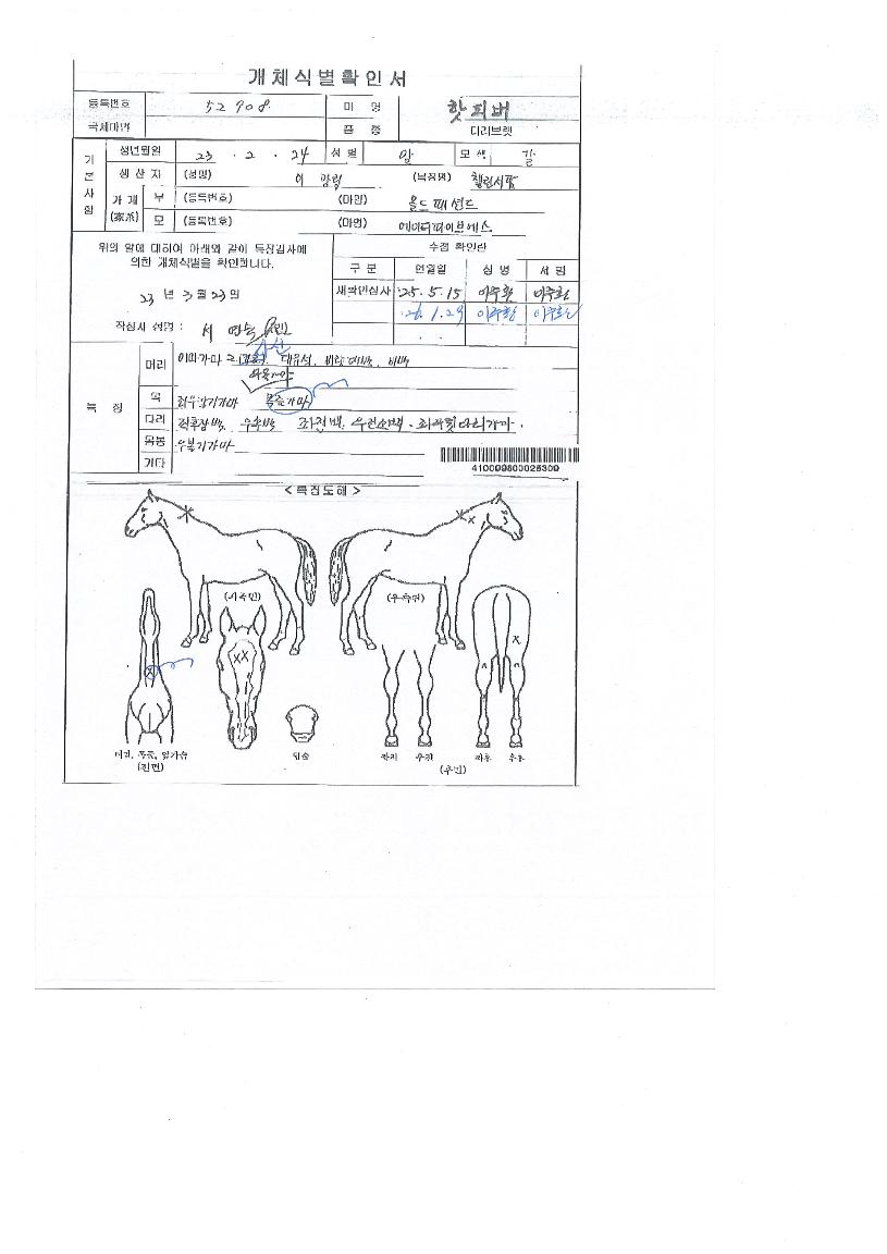 ���ǹ��� ����,���,�޸�,�λ�,�ٸ��� Ư¡����