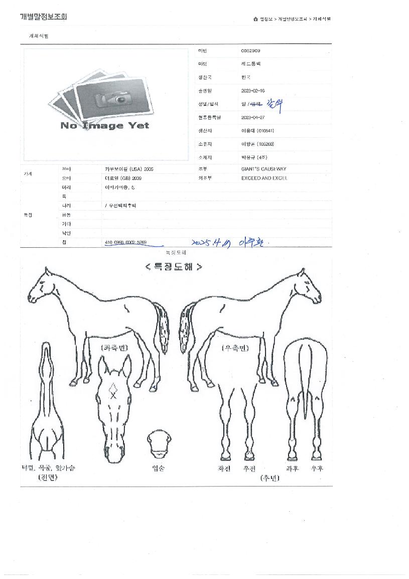 ���嵿���� ����,���,�޸�,�λ�,�ٸ��� Ư¡����