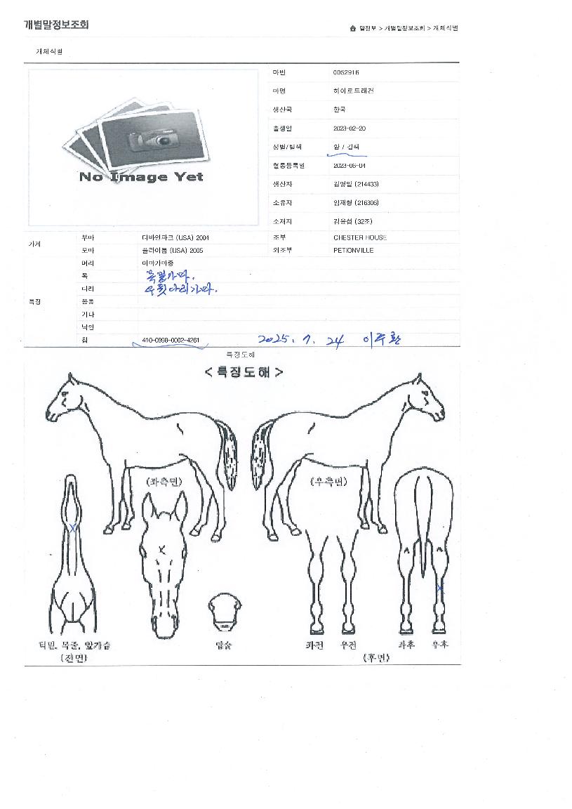 ����ε巡���� ����,���,�޸�,�λ�,�ٸ��� Ư¡����