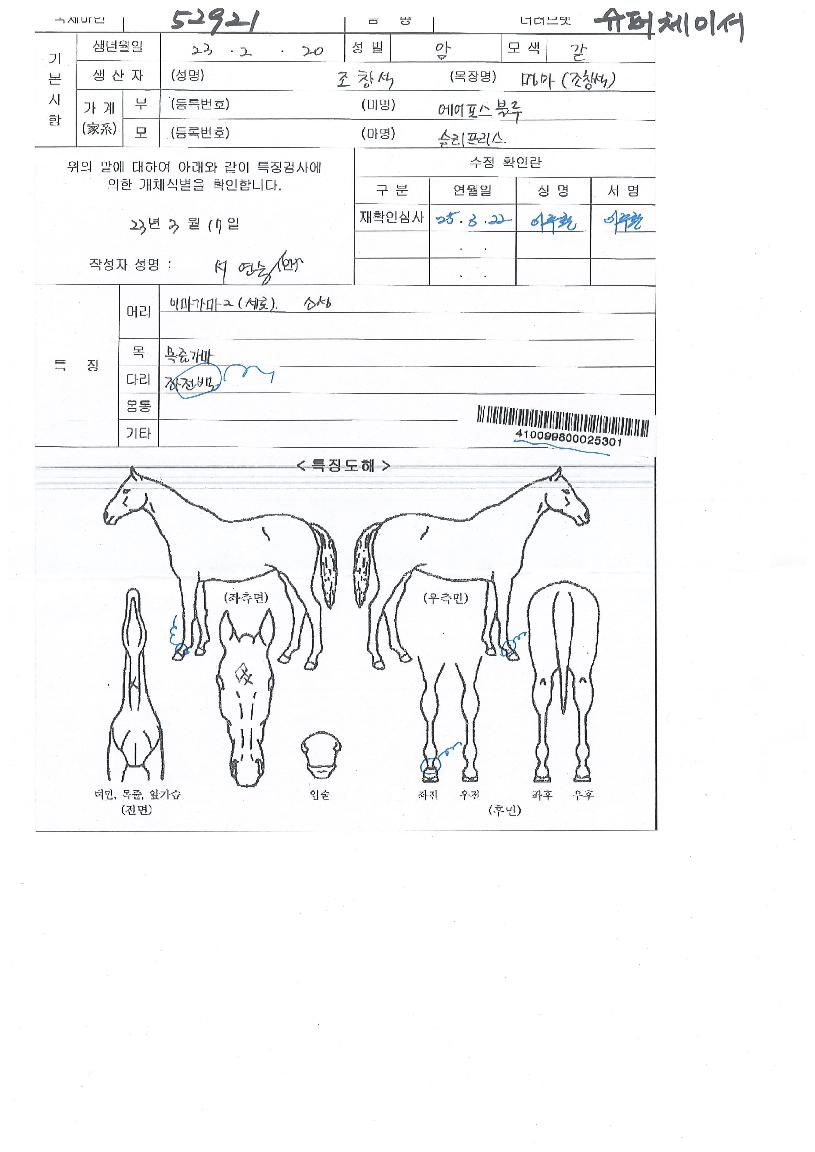 ½´ÆÛüÀ̼ÀÇ Ãø¸é,¿ì¸é,µÞ¸é,µÎ»ó,´Ù¸®ÀÇ Æ¯Â¡µµÇØ