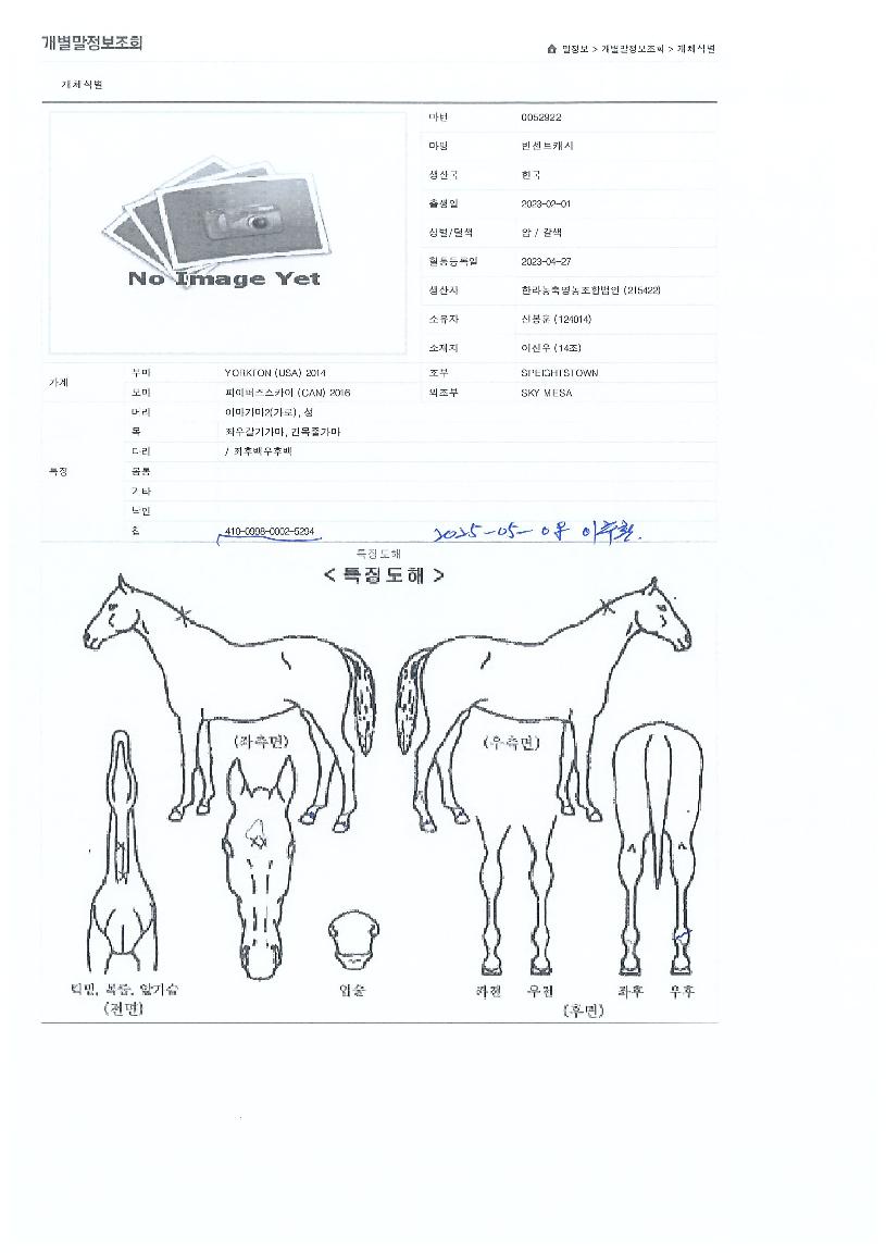 ��Ʈĳ���� ����,���,�޸�,�λ�,�ٸ��� Ư¡����