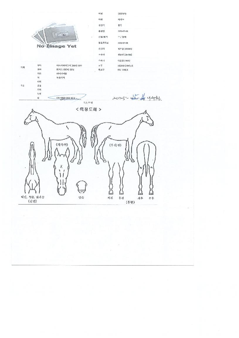 ���̵��� ����,���,�޸�,�λ�,�ٸ��� Ư¡����