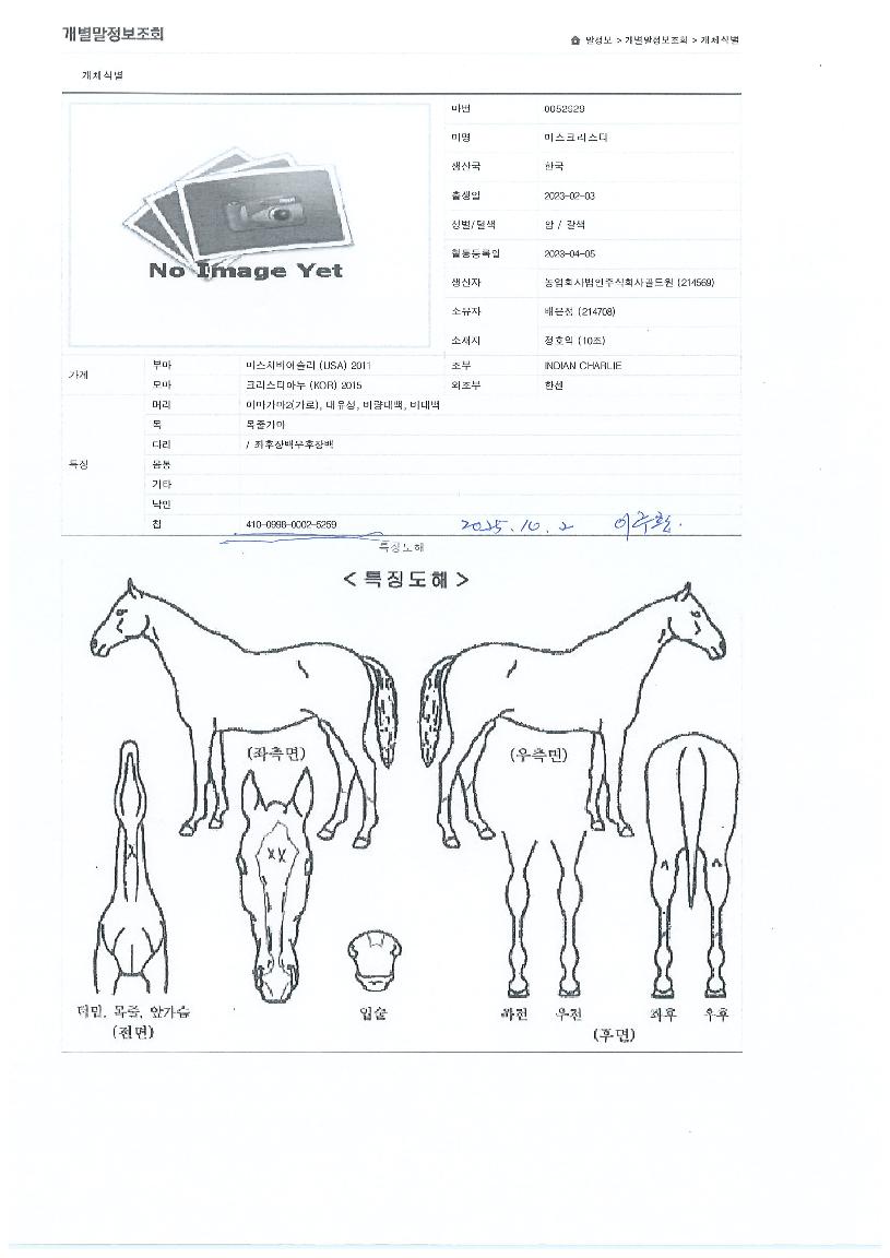 �̽�ũ����Ƽ�� ����,���,�޸�,�λ�,�ٸ��� Ư¡����