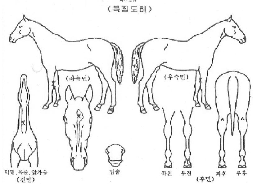 �����Ʈ������ ����,���,�޸�,�λ�,�ٸ��� Ư¡����