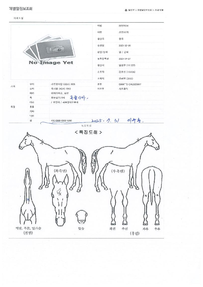 ���������� ����,���,�޸�,�λ�,�ٸ��� Ư¡����