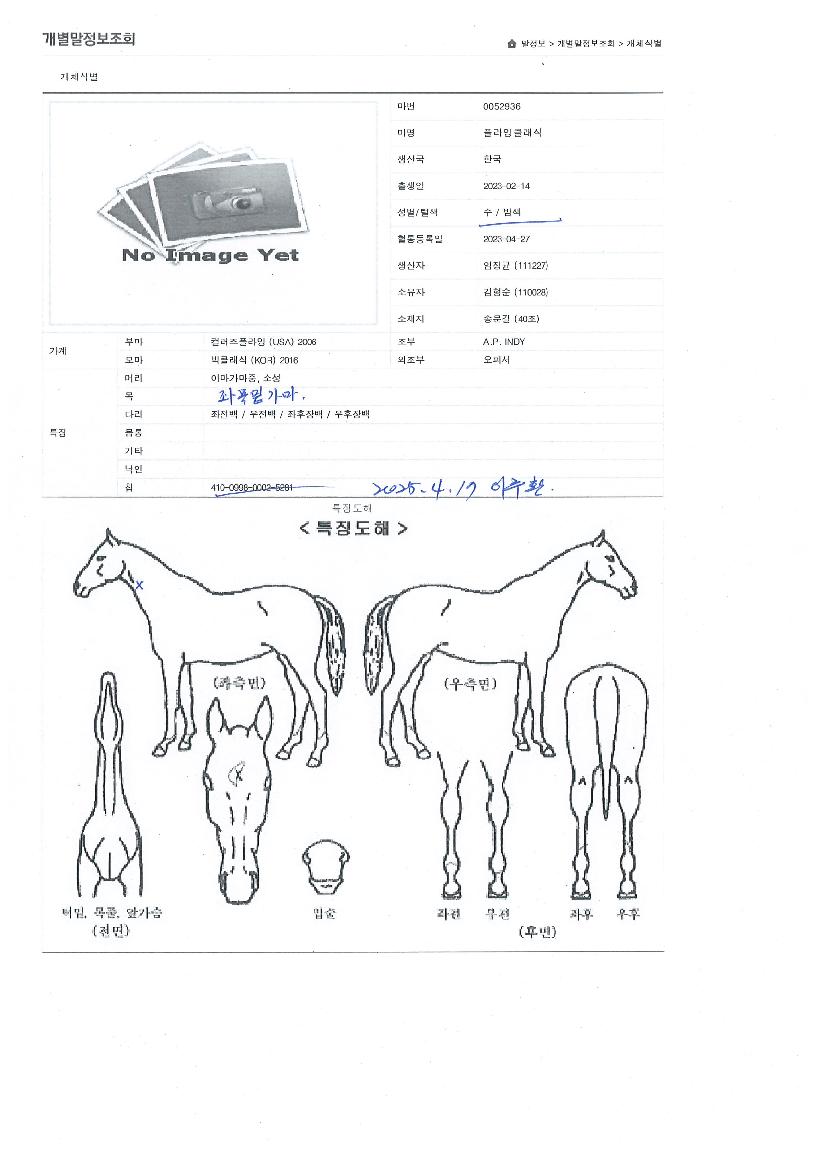 ÇöóÀ×Ŭ·¡½ÄÀÇ Ãø¸é,¿ì¸é,µÞ¸é,µÎ»ó,´Ù¸®ÀÇ Æ¯Â¡µµÇØ