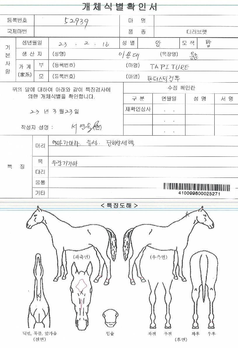 µÎ¹ÙÀ̼±¹°ÀÇ Ãø¸é,¿ì¸é,µÞ¸é,µÎ»ó,´Ù¸®ÀÇ Æ¯Â¡µµÇØ