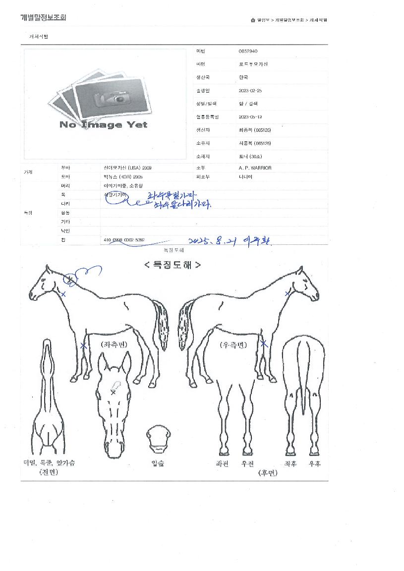 ·ÎµåÅõ¸ðÄ«½ÅÀÇ Ãø¸é,¿ì¸é,µÞ¸é,µÎ»ó,´Ù¸®ÀÇ Æ¯Â¡µµÇØ