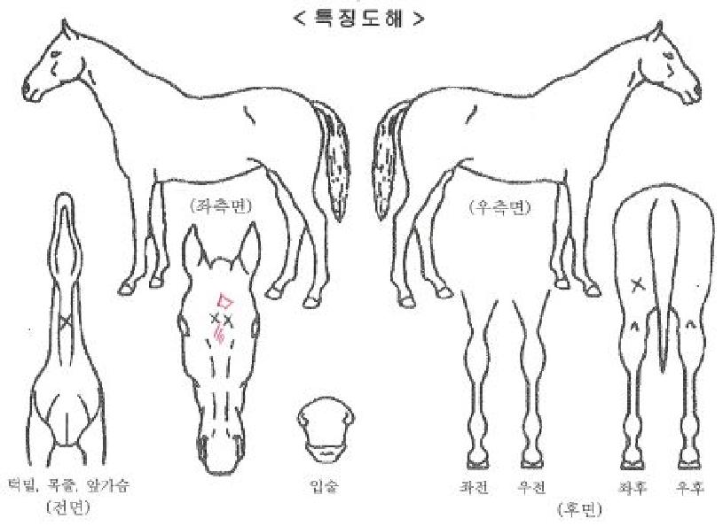 �������̽��� ����,���,�޸�,�λ�,�ٸ��� Ư¡����