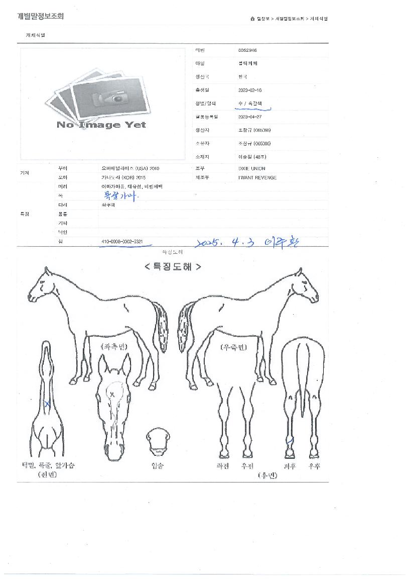 ºí·¢ÆäÆäÀÇ Ãø¸é,¿ì¸é,µÞ¸é,µÎ»ó,´Ù¸®ÀÇ Æ¯Â¡µµÇØ