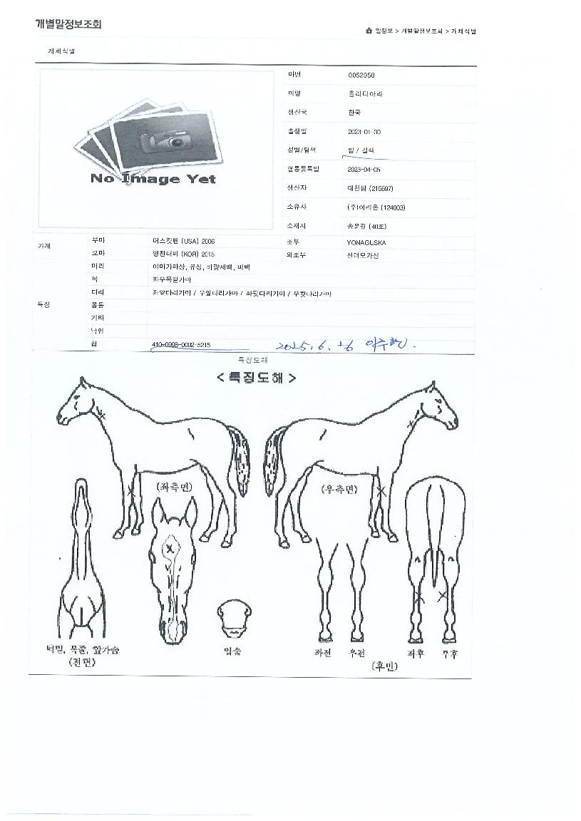 Ȧ��Ƽ�ƶ��� ����,���,�޸�,�λ�,�ٸ��� Ư¡����