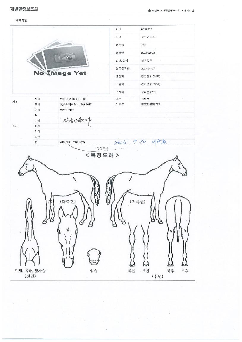 ÇÖ½´°Å¸ÅÁ÷ÀÇ Ãø¸é,¿ì¸é,µÞ¸é,µÎ»ó,´Ù¸®ÀÇ Æ¯Â¡µµÇØ