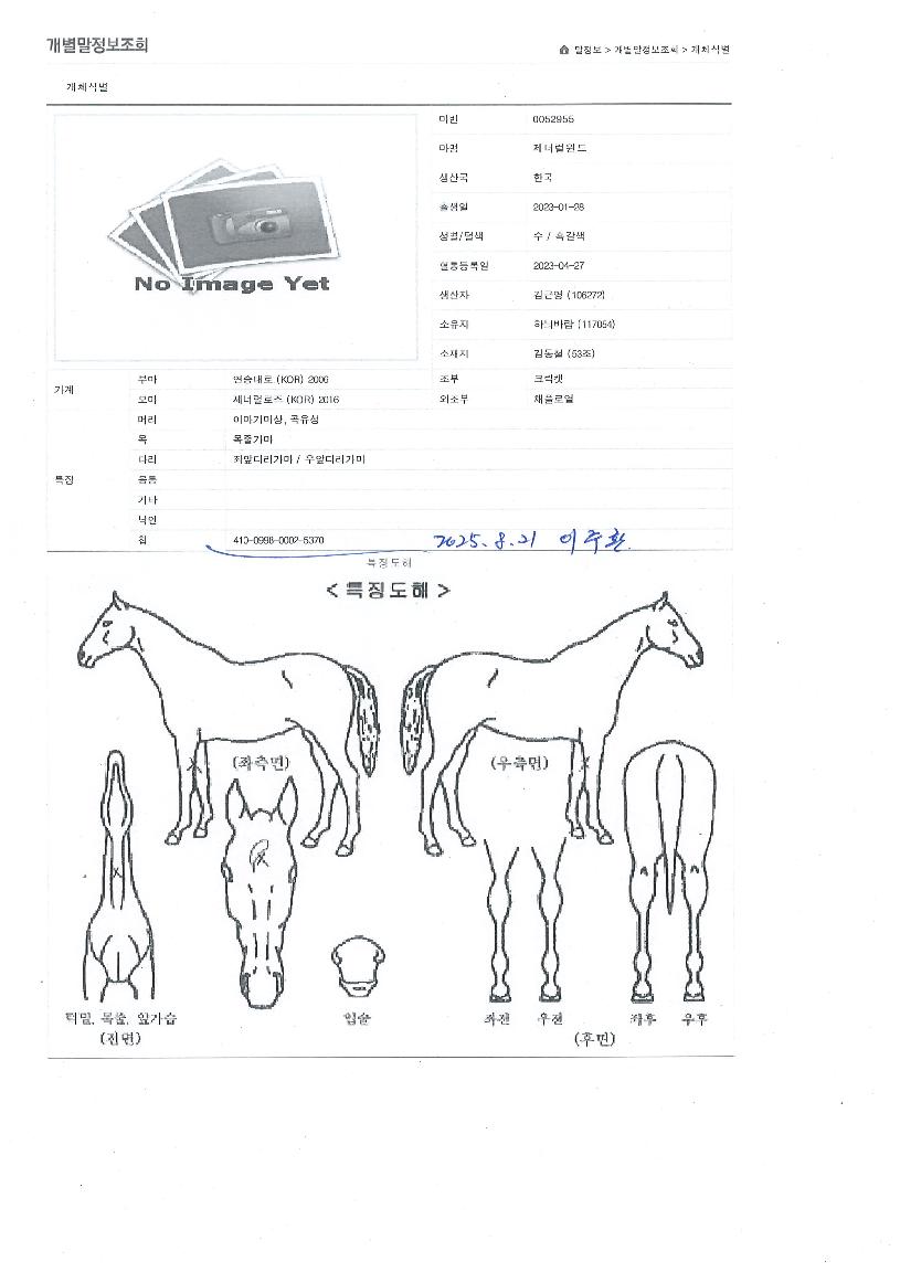 ���ʷ������� ����,���,�޸�,�λ�,�ٸ��� Ư¡����