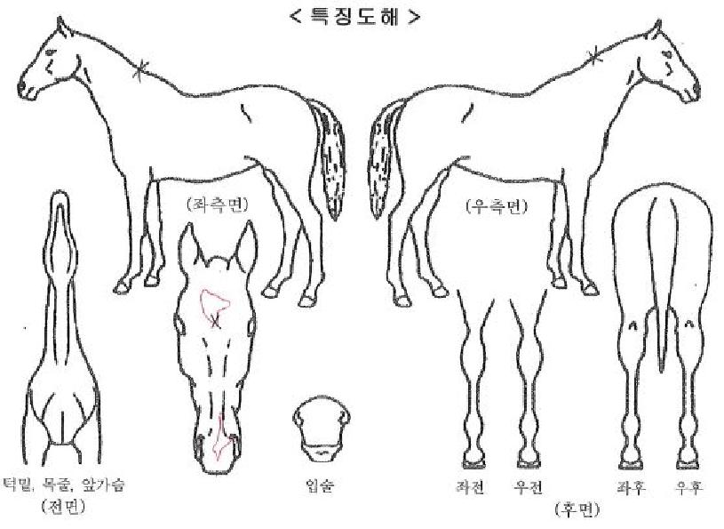 �Ϸ��������� ����,���,�޸�,�λ�,�ٸ��� Ư¡����