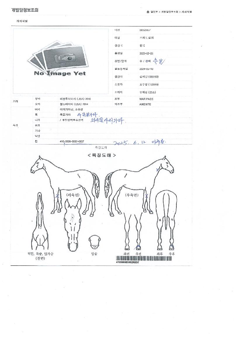 ºê¸®µµÄ®¸®ÀÇ Ãø¸é,¿ì¸é,µÞ¸é,µÎ»ó,´Ù¸®ÀÇ Æ¯Â¡µµÇØ