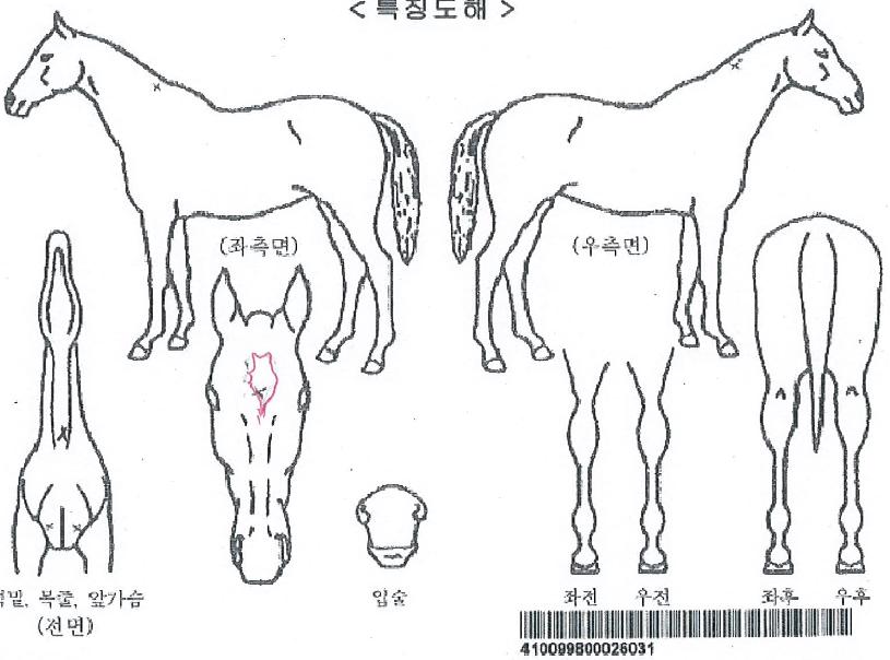 ��ũ�÷����� ����,���,�޸�,�λ�,�ٸ��� Ư¡����