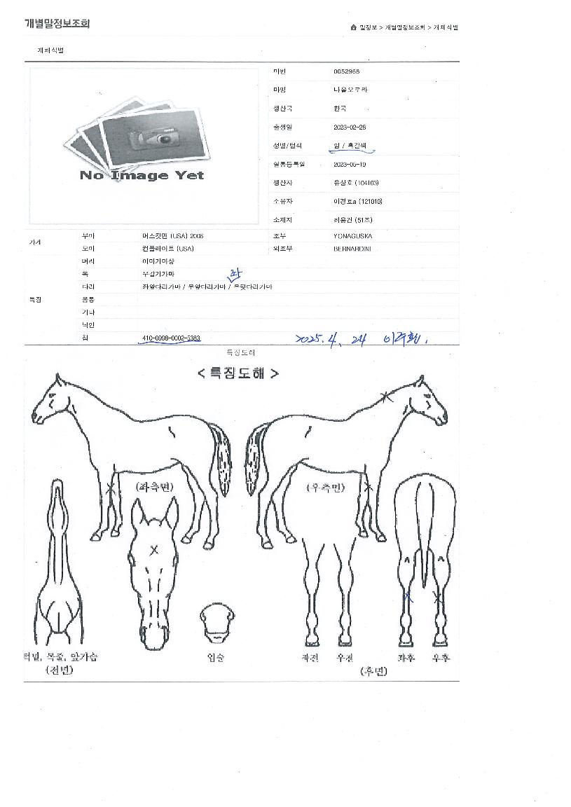 ���ÿ��ζ��� ����,���,�޸�,�λ�,�ٸ��� Ư¡����