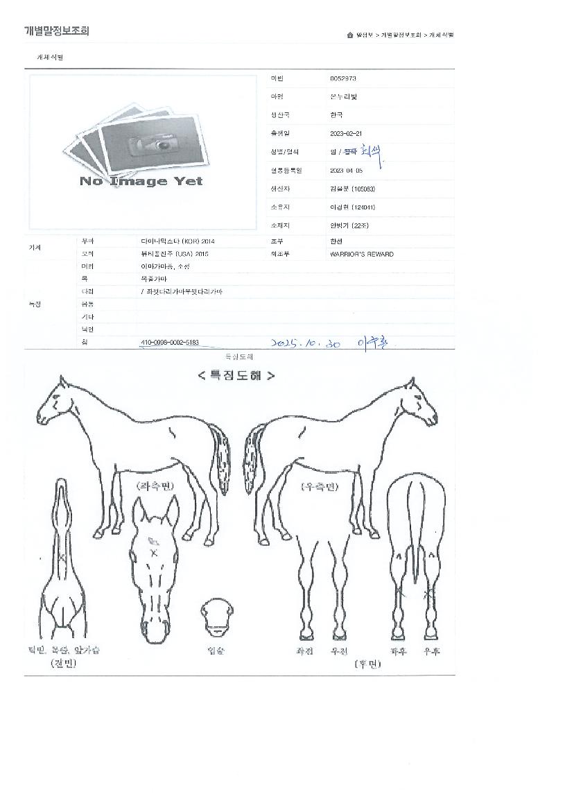 �´������� ����,���,�޸�,�λ�,�ٸ��� Ư¡����