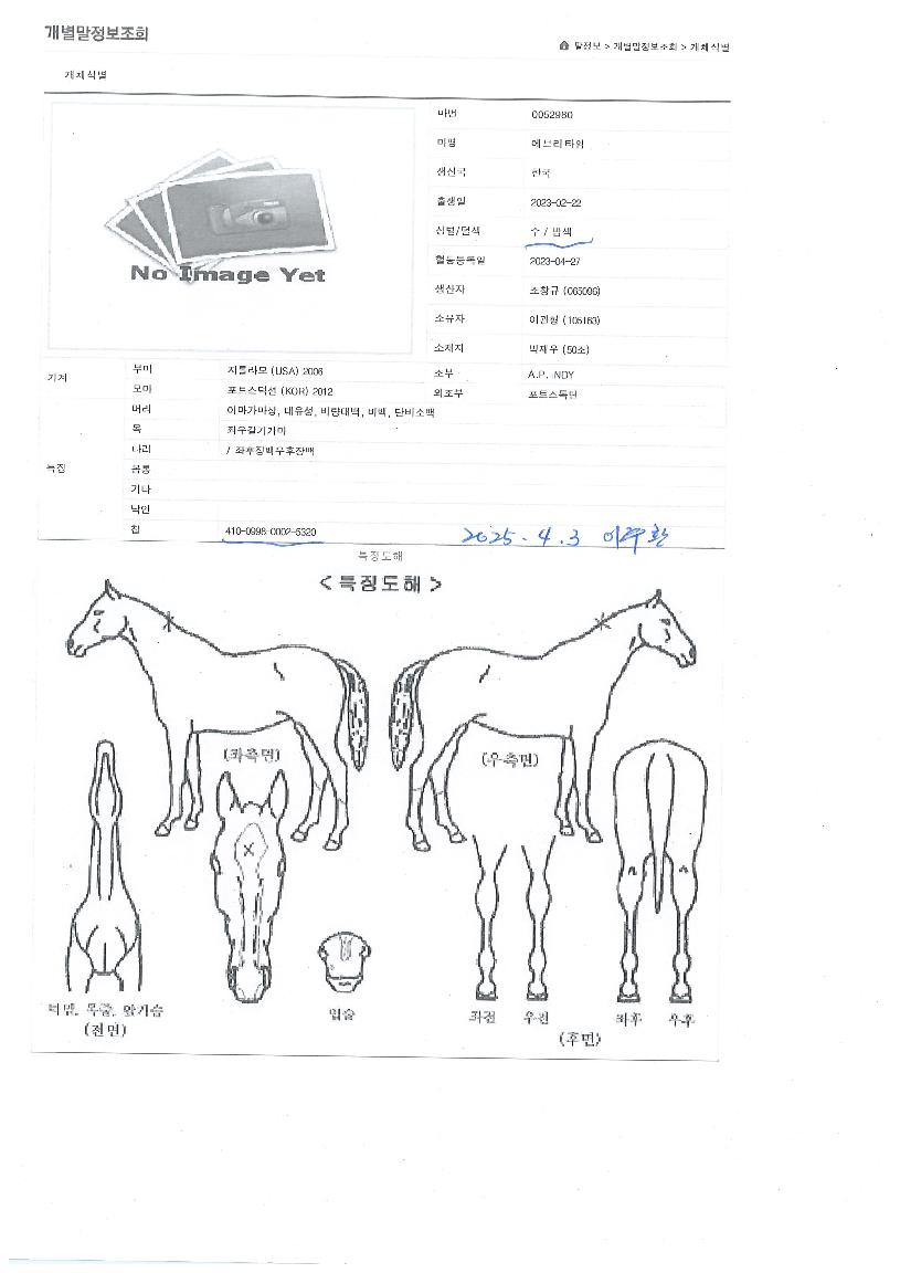 ¿¡ºê¸®Å¸ÀÓÀÇ Ãø¸é,¿ì¸é,µÞ¸é,µÎ»ó,´Ù¸®ÀÇ Æ¯Â¡µµÇØ