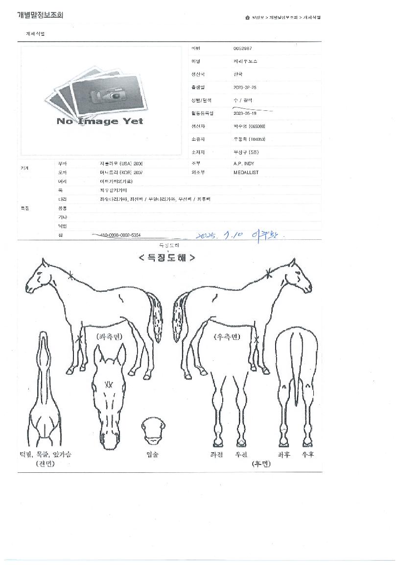 �ɶ��뽺�� ����,���,�޸�,�λ�,�ٸ��� Ư¡����