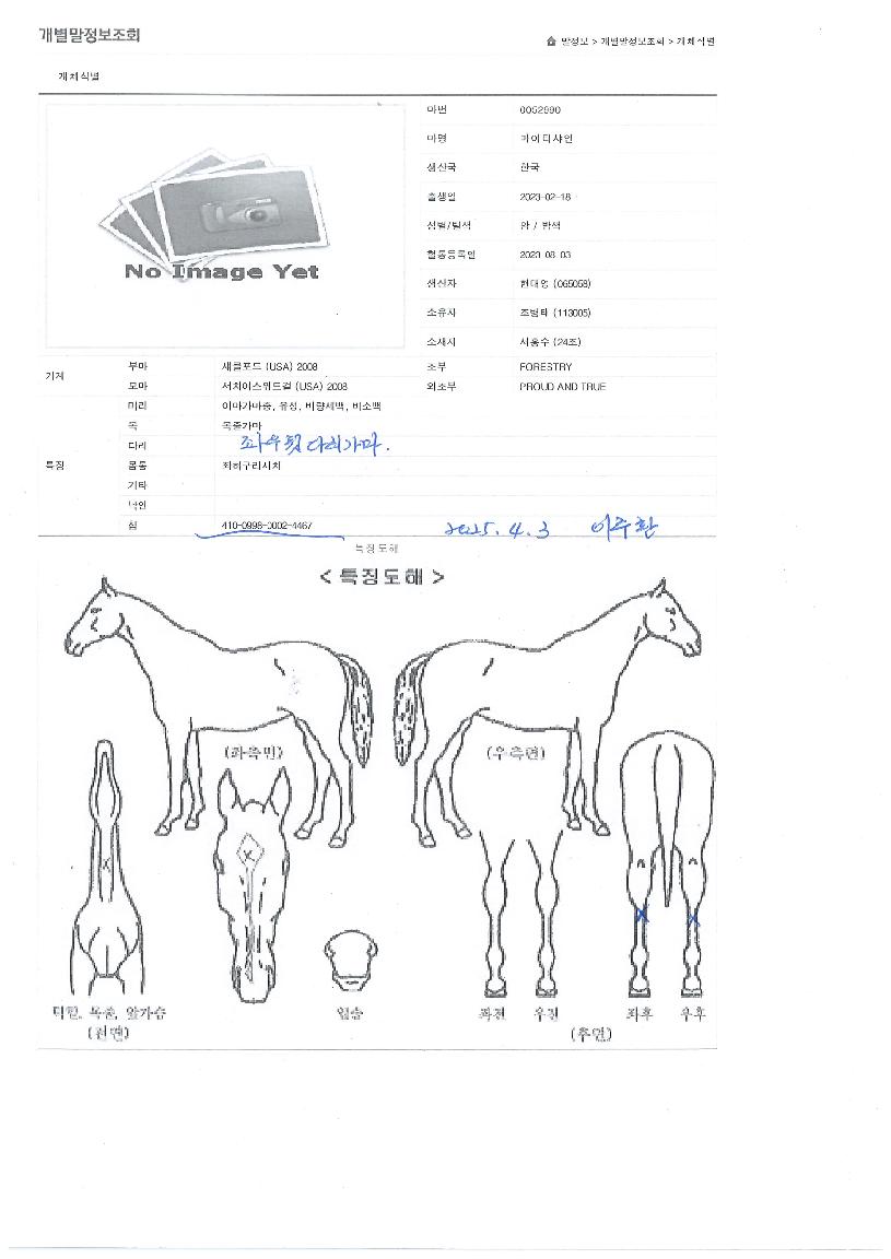 ¸¶ÀÌÆ¼»þÀÎÀÇ Ãø¸é,¿ì¸é,µÞ¸é,µÎ»ó,´Ù¸®ÀÇ Æ¯Â¡µµÇØ
