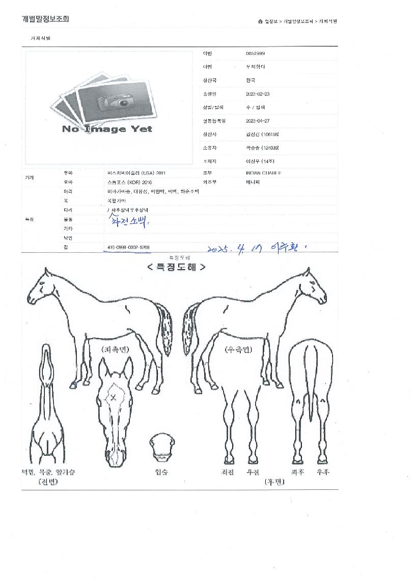 ¹«ÀûÇÔ´ëÀÇ Ãø¸é,¿ì¸é,µÞ¸é,µÎ»ó,´Ù¸®ÀÇ Æ¯Â¡µµÇØ
