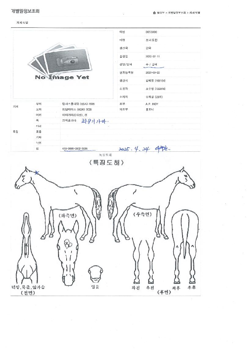 ºê¸®µµÄÀÇ Ãø¸é,¿ì¸é,µÞ¸é,µÎ»ó,´Ù¸®ÀÇ Æ¯Â¡µµÇØ