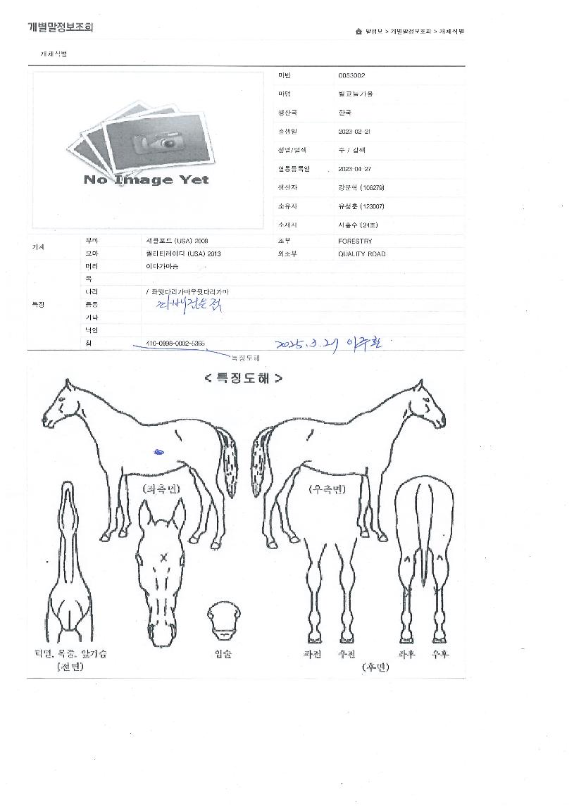 ¸®´õ½ºÆÄÆ®³ÊÀÇ Ãø¸é,¿ì¸é,µÞ¸é,µÎ»ó,´Ù¸®ÀÇ Æ¯Â¡µµÇØ