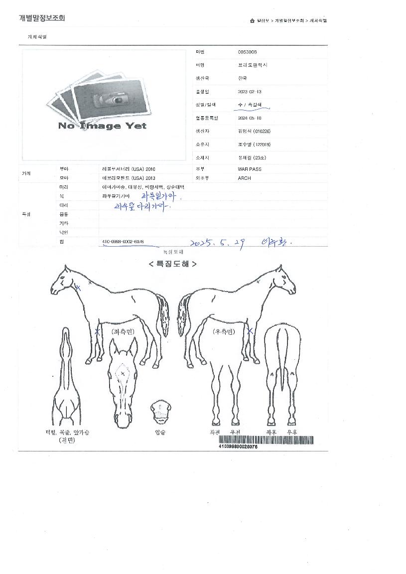 ºê¸®µµ°¶·°½ÃÀÇ Ãø¸é,¿ì¸é,µÞ¸é,µÎ»ó,´Ù¸®ÀÇ Æ¯Â¡µµÇØ