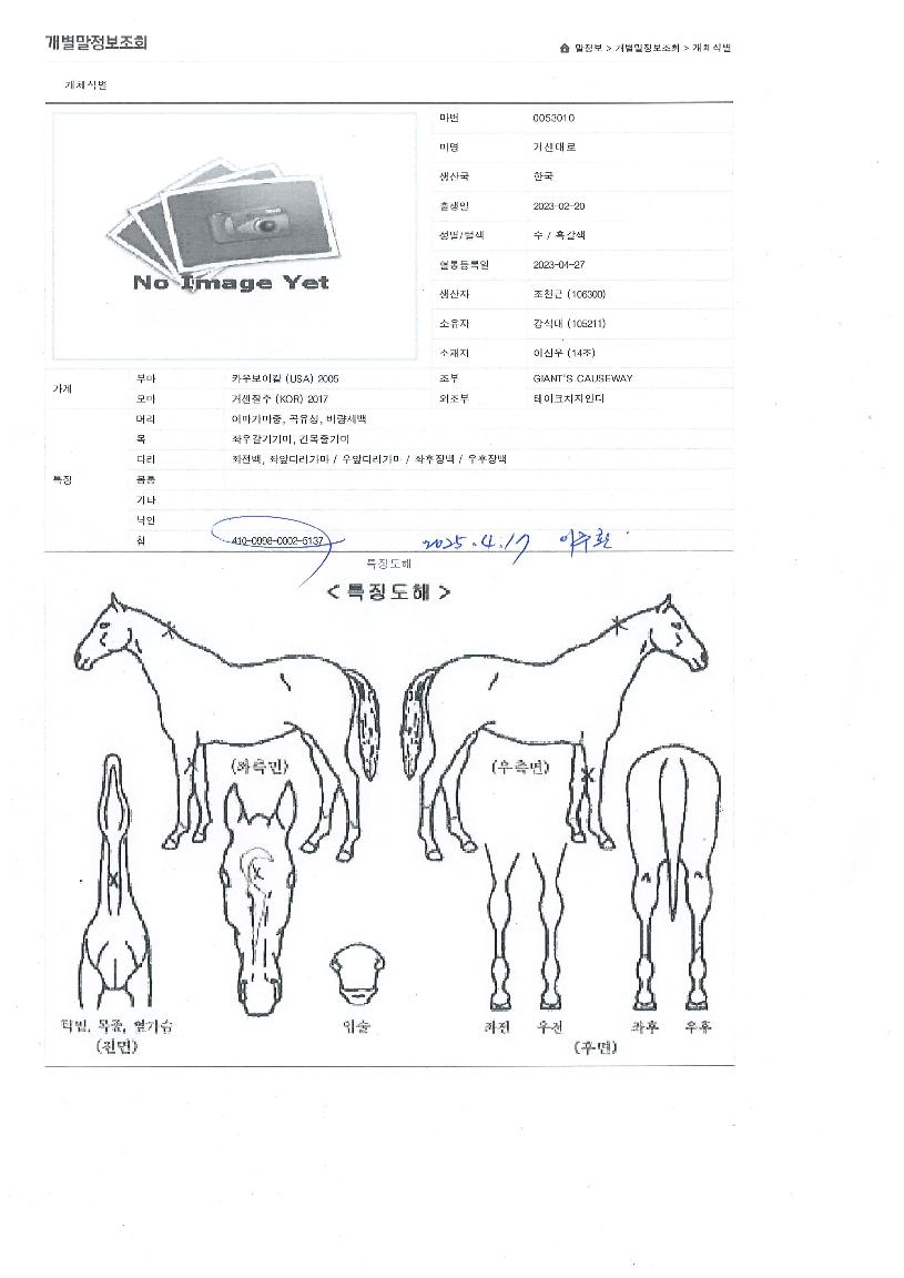 °Å¼¾´ë·ÎÀÇ Ãø¸é,¿ì¸é,µÞ¸é,µÎ»ó,´Ù¸®ÀÇ Æ¯Â¡µµÇØ