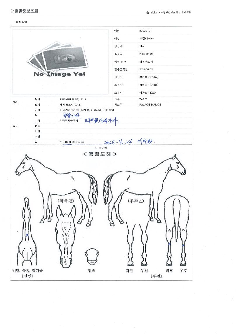 µå¸²´ÙÀ̾ÆÀÇ Ãø¸é,¿ì¸é,µÞ¸é,µÎ»ó,´Ù¸®ÀÇ Æ¯Â¡µµÇØ