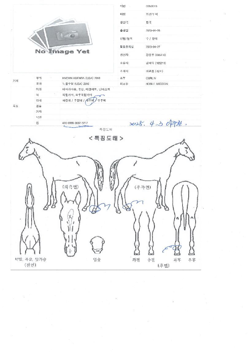 �ż������� ����,���,�޸�,�λ�,�ٸ��� Ư¡����