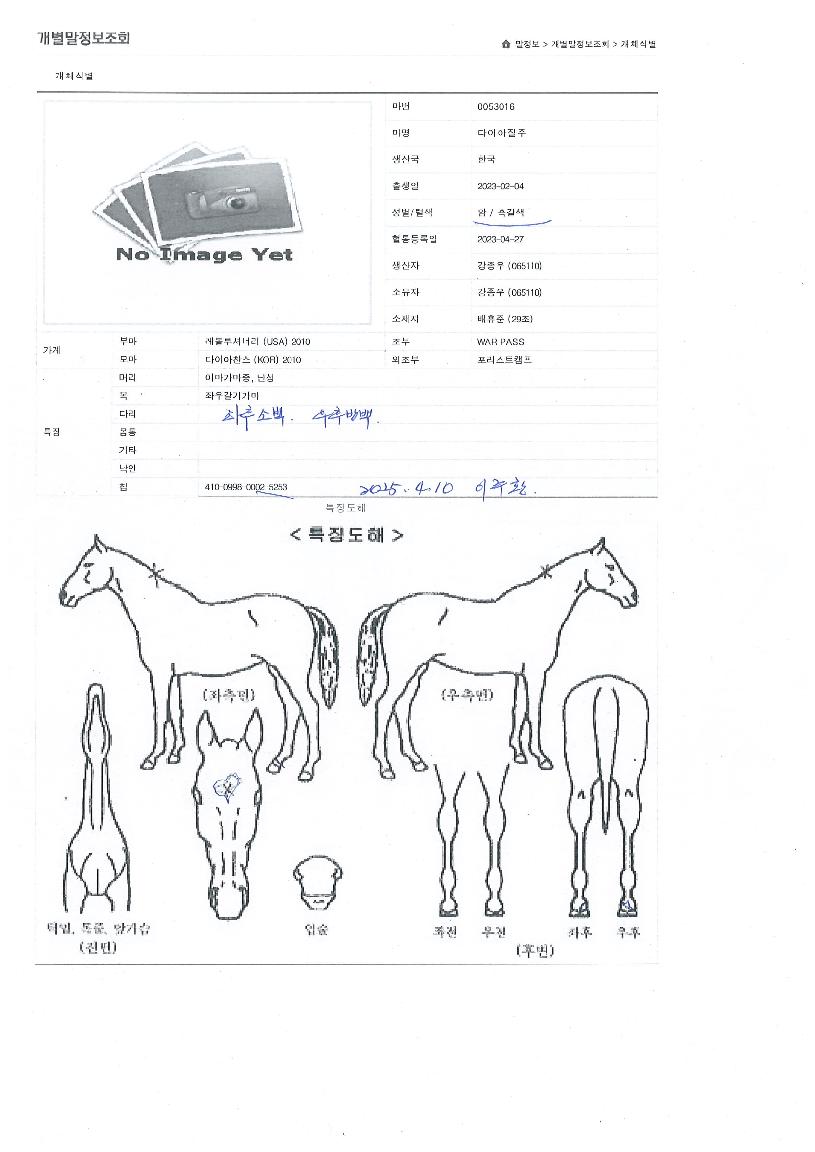 ���̾������� ����,���,�޸�,�λ�,�ٸ��� Ư¡����