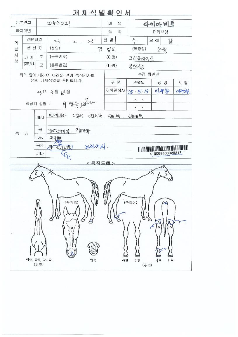 ´ÙÀ̾ƺñÆ®ÀÇ Ãø¸é,¿ì¸é,µÞ¸é,µÎ»ó,´Ù¸®ÀÇ Æ¯Â¡µµÇØ