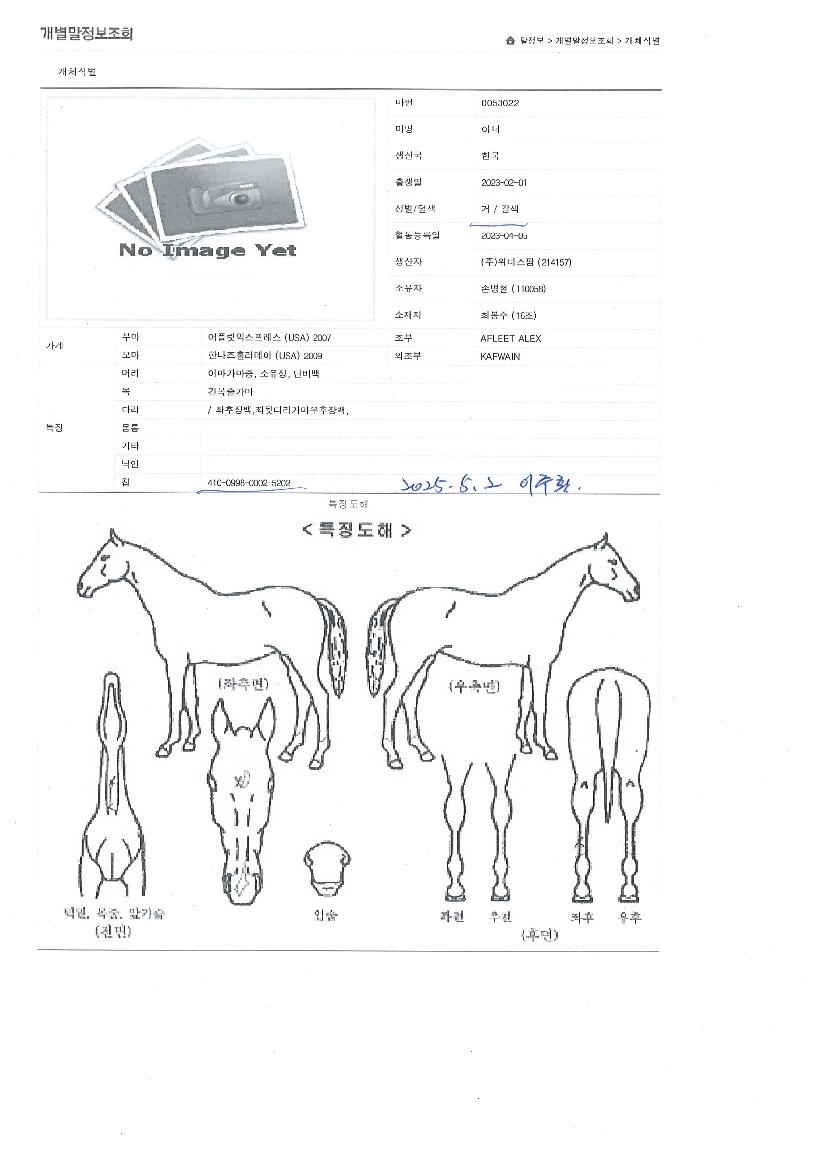 ¾Æ³ÊÀÇ Ãø¸é,¿ì¸é,µÞ¸é,µÎ»ó,´Ù¸®ÀÇ Æ¯Â¡µµÇØ
