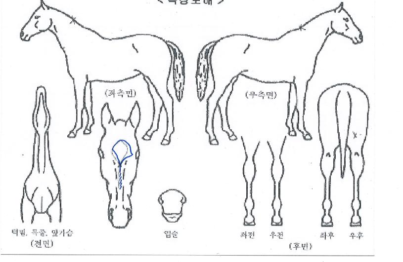 �������� ����,���,�޸�,�λ�,�ٸ��� Ư¡����