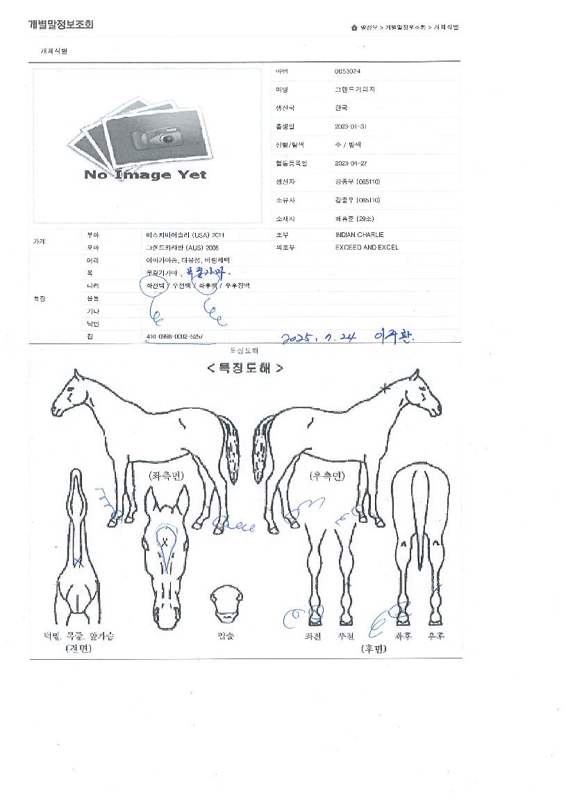 ±×·£µåÄ¿¸®ÁöÀÇ Ãø¸é,¿ì¸é,µÞ¸é,µÎ»ó,´Ù¸®ÀÇ Æ¯Â¡µµÇØ