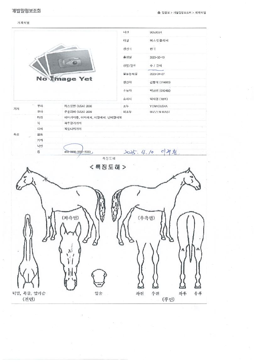 ¸Ó½ºÅ¶Å¬¸®¹öÀÇ Ãø¸é,¿ì¸é,µÞ¸é,µÎ»ó,´Ù¸®ÀÇ Æ¯Â¡µµÇØ