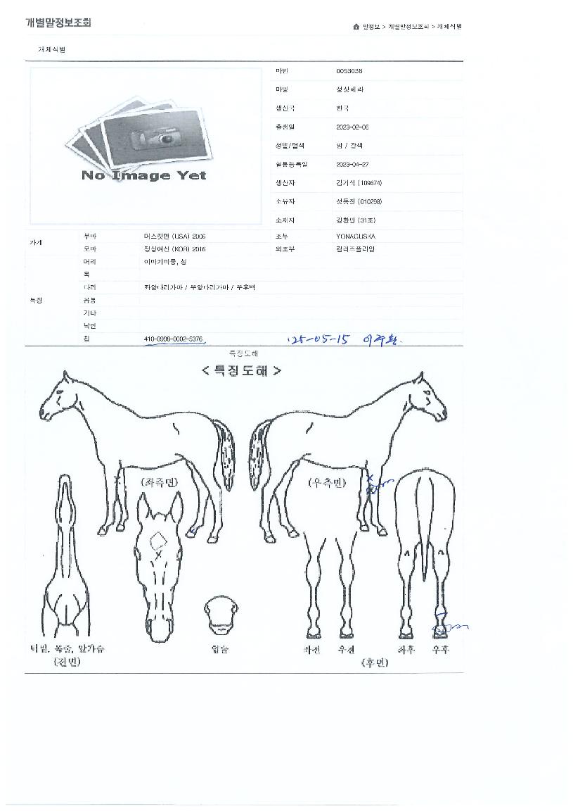 Á¤»óÇì¶óÀÇ Ãø¸é,¿ì¸é,µÞ¸é,µÎ»ó,´Ù¸®ÀÇ Æ¯Â¡µµÇØ