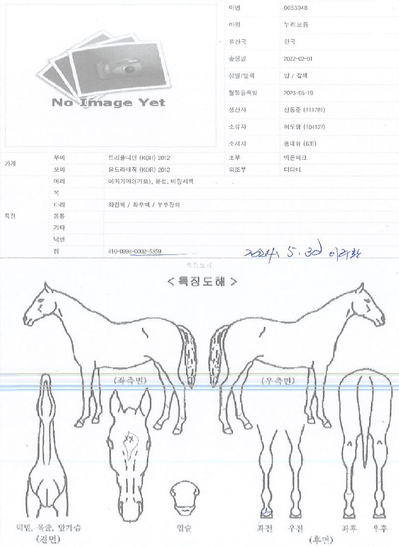 ´©¸®À¸¶äÀÇ Ãø¸é,¿ì¸é,µÞ¸é,µÎ»ó,´Ù¸®ÀÇ Æ¯Â¡µµÇØ