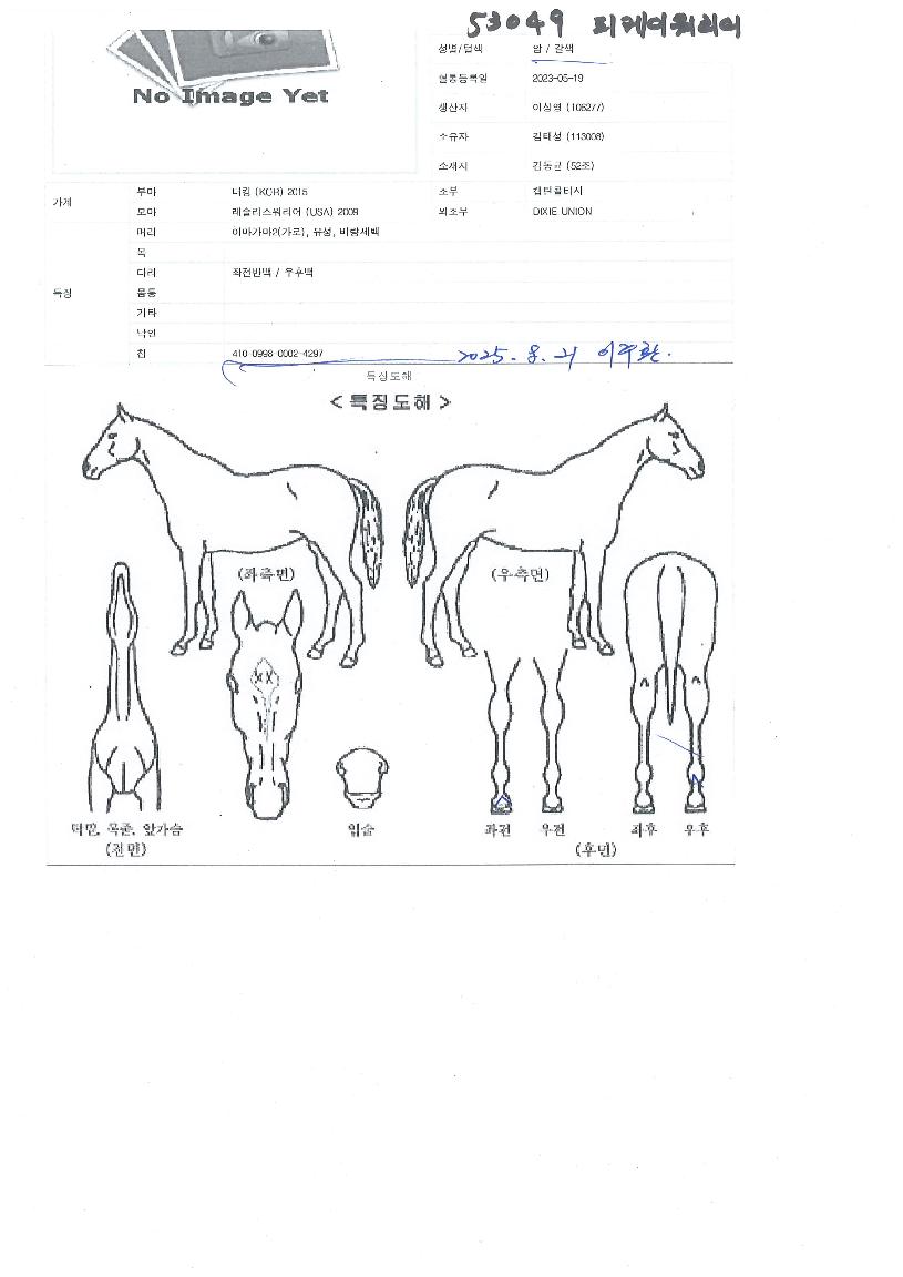 �����̿������� ����,���,�޸�,�λ�,�ٸ��� Ư¡����