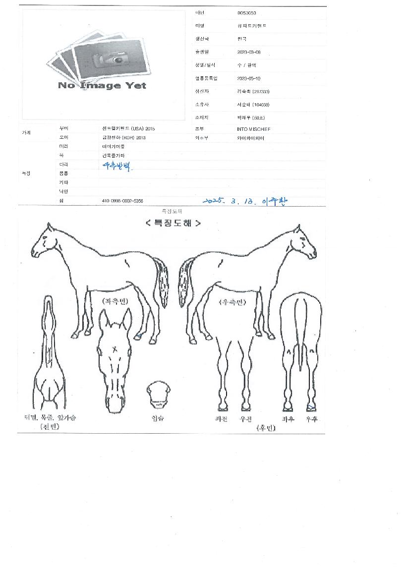 ť�ǵ�Ŀ�ǵ��� ����,���,�޸�,�λ�,�ٸ��� Ư¡����