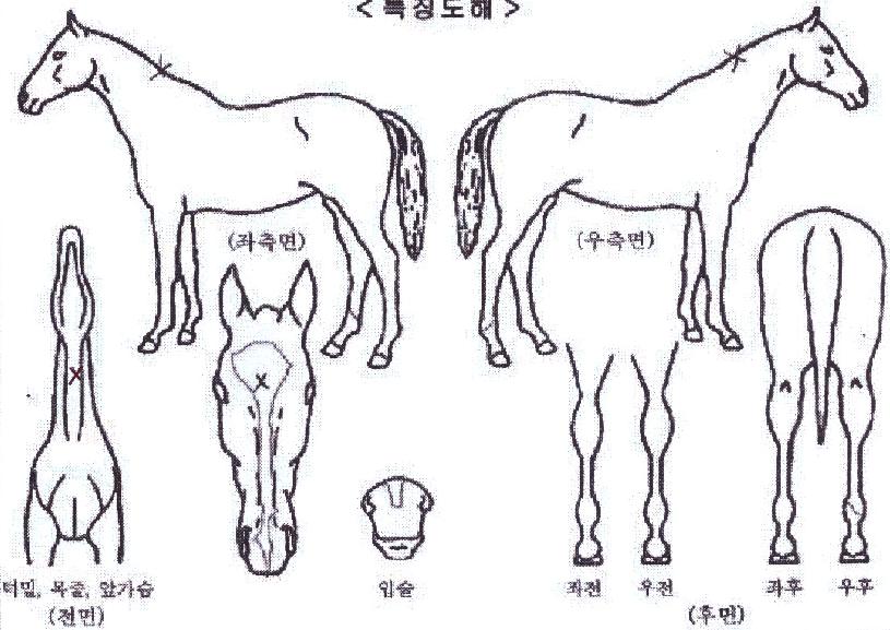 ���ָ����� ����,���,�޸�,�λ�,�ٸ��� Ư¡����